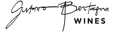 logo-gustavo-bertagna logo-gustavo-bertagna